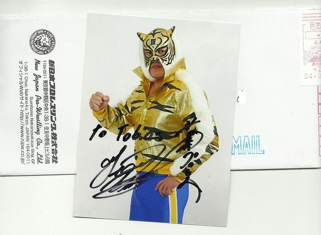 tiger mask.jpg